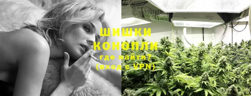 Канабис OG Kush  Бахчисарай 